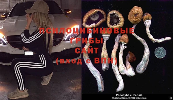 PSILOCYBIN Алексин