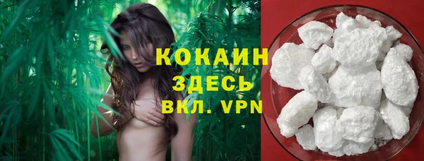 твердый Алексеевка