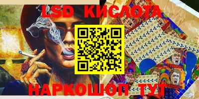 крисы Кинель