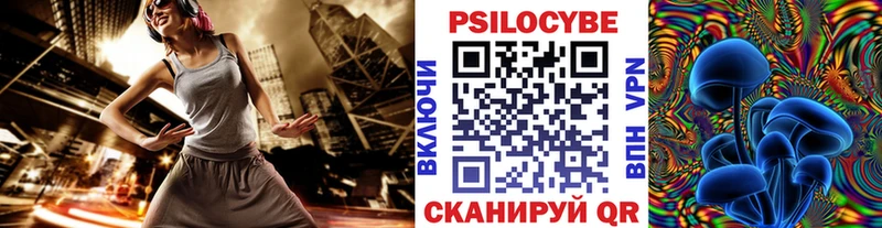 дарнет шоп  Коряжма  Псилоцибиновые грибы Psilocybine cubensis 