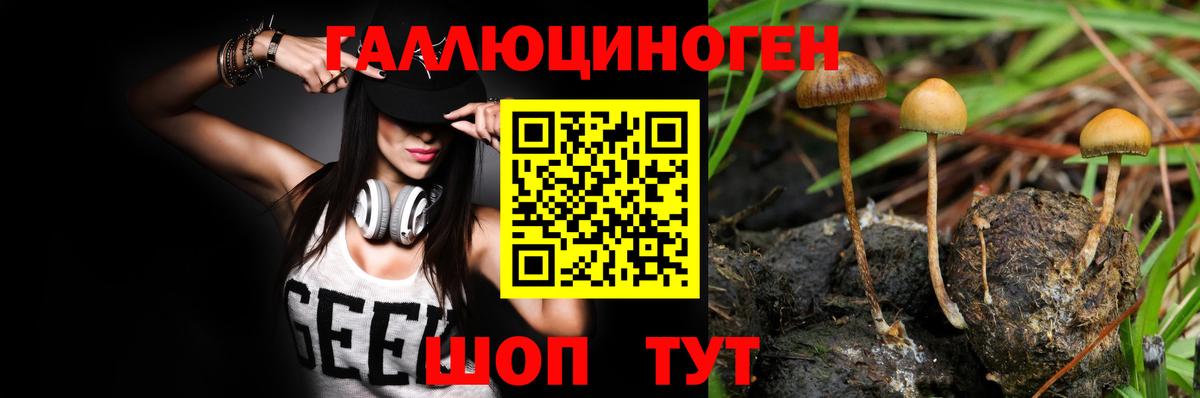Галлюциногенные грибы GOLDEN TEACHER Коряжма